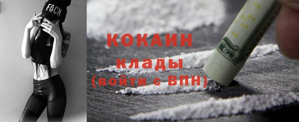 дживик Дмитровск