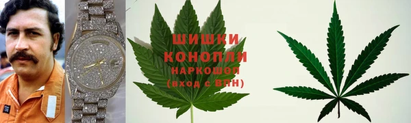 Альфа ПВП Дмитров