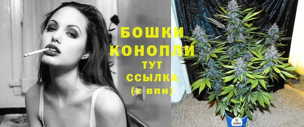 прущие крисы Дмитриев