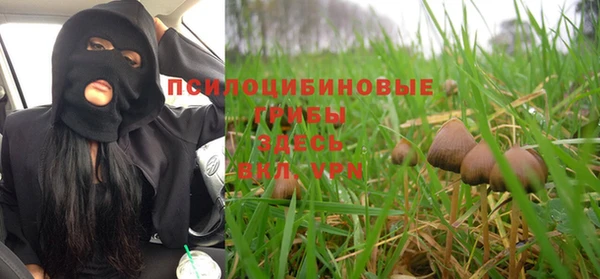 дживик Дмитровск
